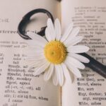 マンツーマンならGABAはアリ?特徴・料金・向いている人を専門家がまとめて解説!